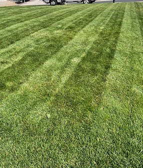 IMG_2012_edited_edited.jpg