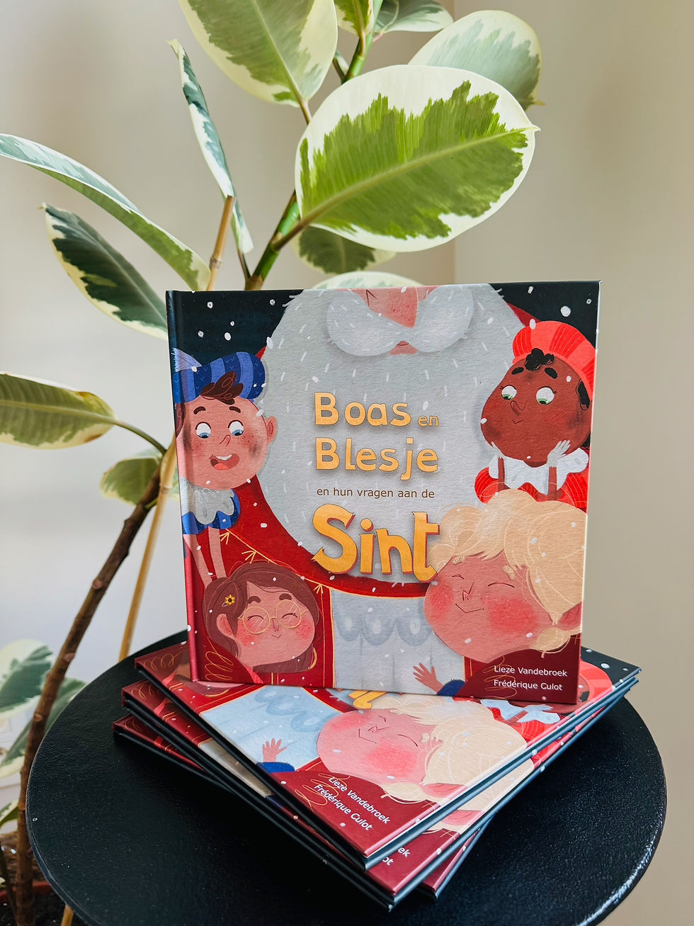 Thumbnail: Boas en Blesje en hun vragen aan de Sint