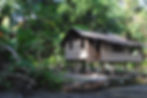A house made with traditional materials with a thatched roof set amongst a jungle backdrop.