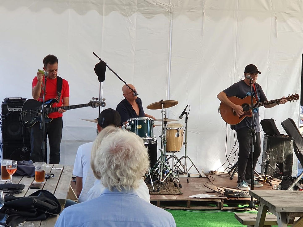 The Wireless - Live Music