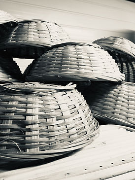 provingbaskets.jpeg