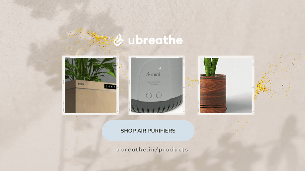 Close-up view of advanced filtration technology used in uBreathe air purifiers.