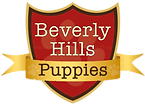 logo_no_background_edited.png