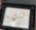 Magnolia