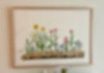 Spring Bulbs