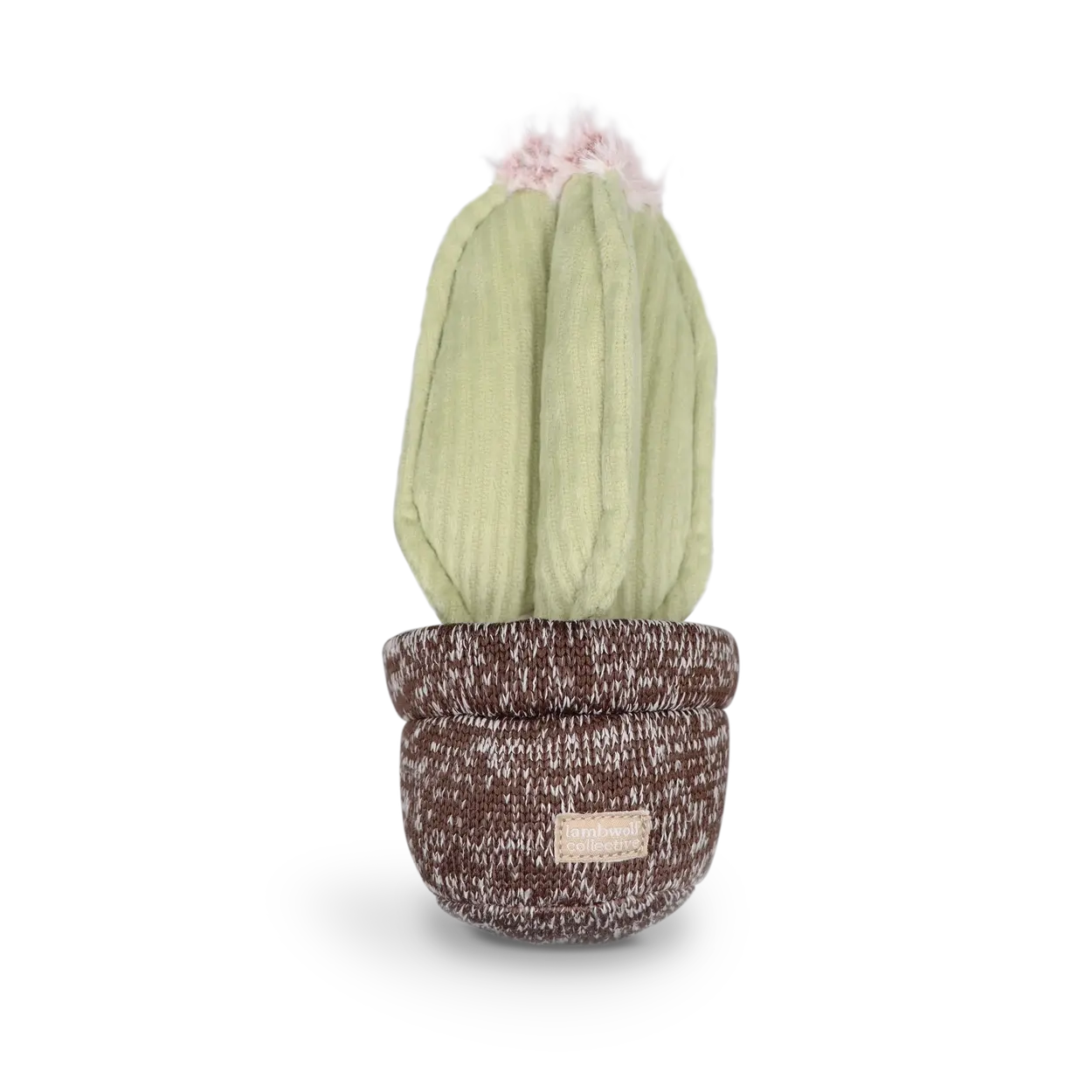 Cactus enrichment dog toy