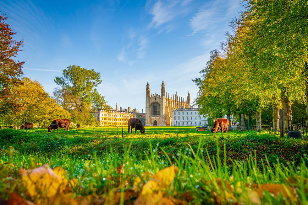 Cambridge Photo.jpg