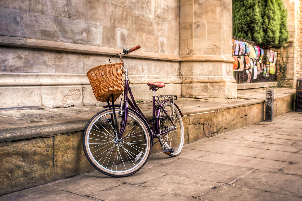 TRANSPORT cAMBRIDGE.jpg