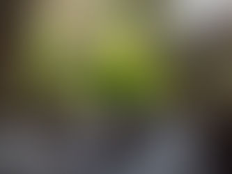 ¡Pequeños pasos, gran impacto! ¡Vuélvete ecologico, ahora es el momento!