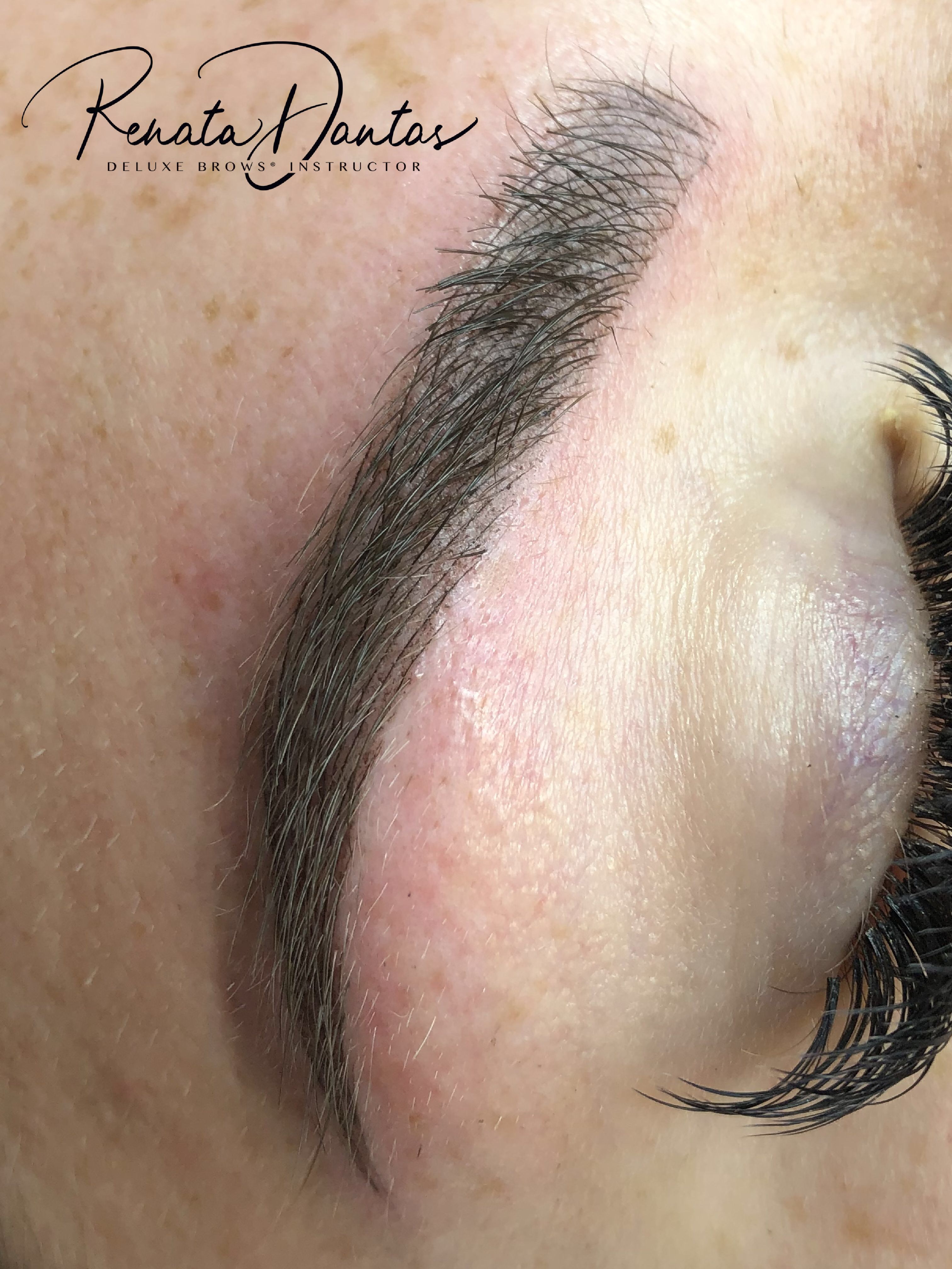 Microblading & shading