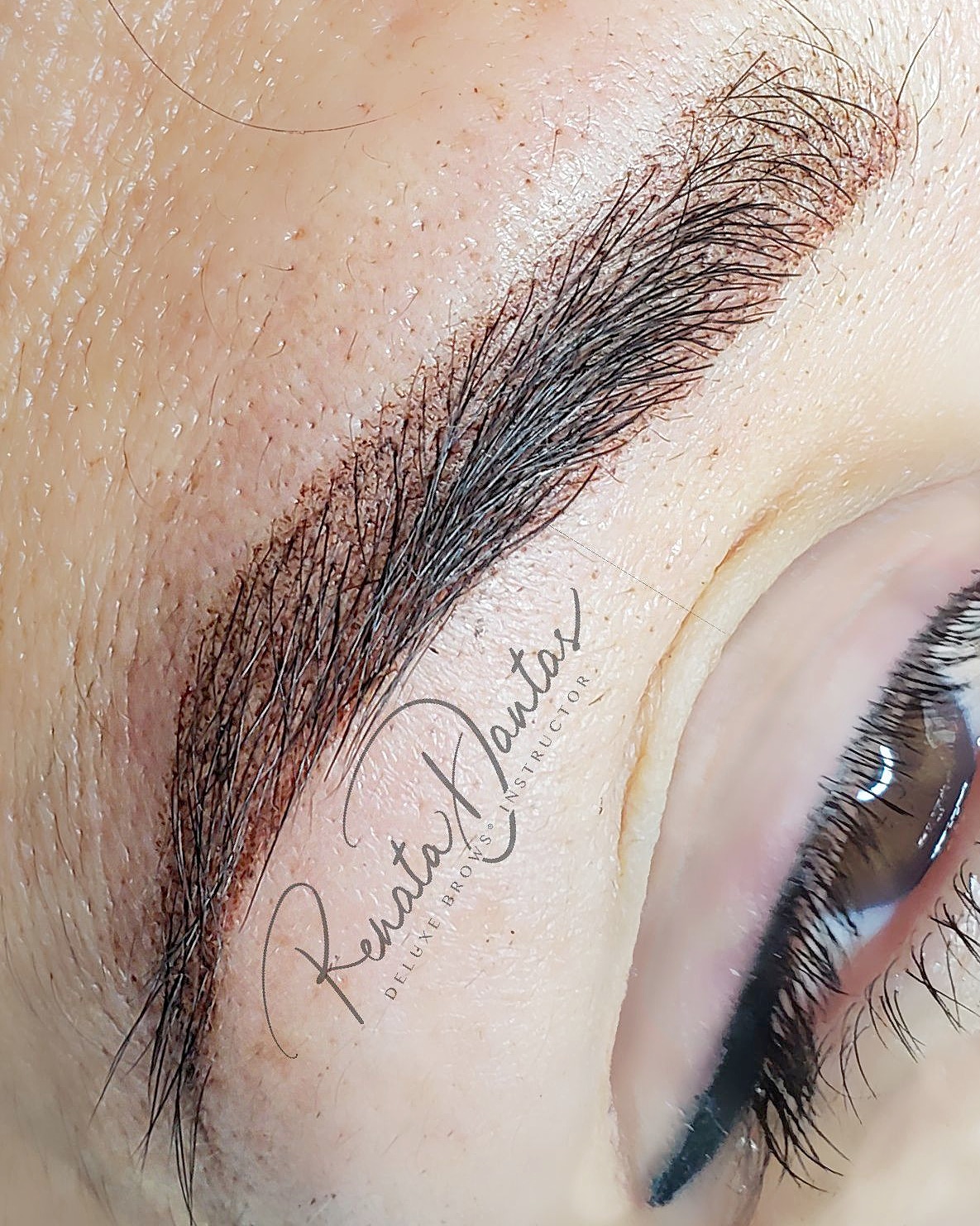 powder shading