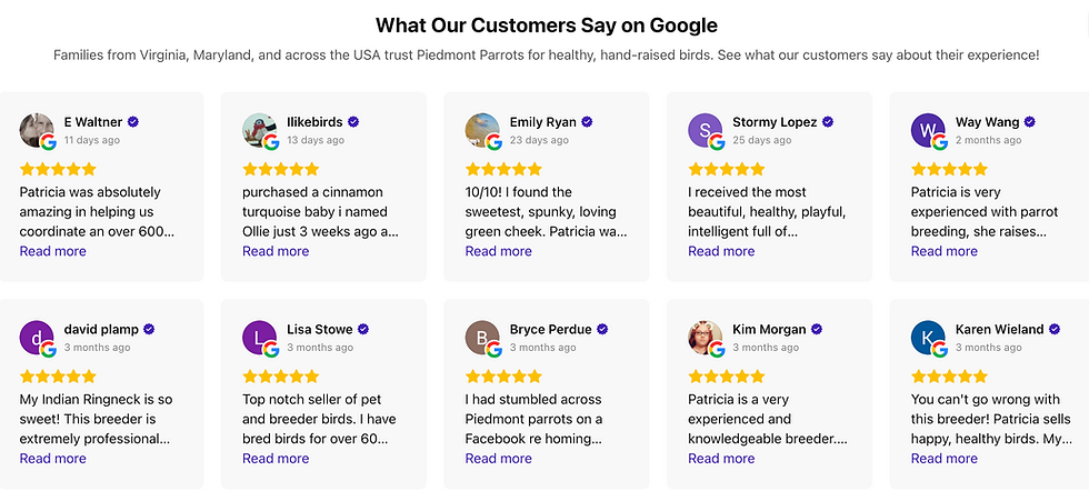 Piedmont Parrots Google Reviews