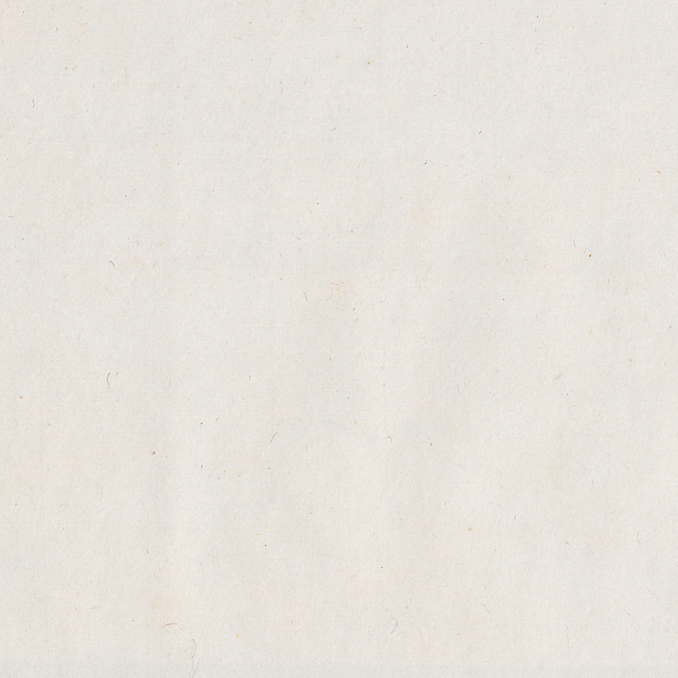 white.png