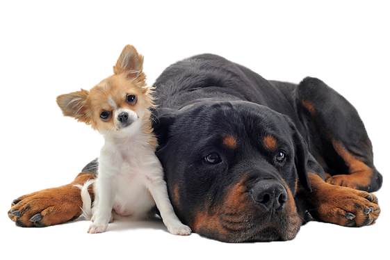 Fotolia_32752408_S_FREI.png