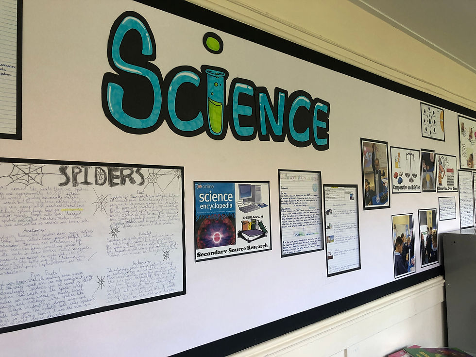 Stapling Student Pictures: An image highlighting the precise stapling process, with neatly aligned and secured student pictures on the display board.