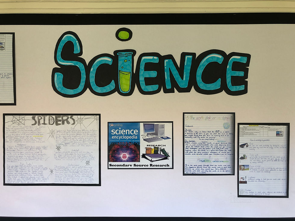Stapling Student Pictures: An image highlighting the precise stapling process, with neatly aligned and secured student pictures on the display board.