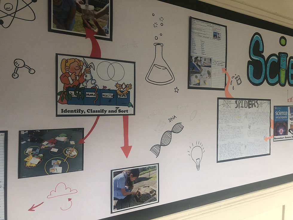 Key Stage Science Illustrations: Illustrations of science-related images drawn directly on the display board, creating a whiteboard-like feel and enhancing the interactive aspect.