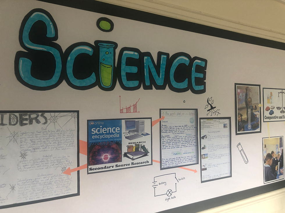 Key Stage Science Illustrations: Illustrations of science-related images drawn directly on the display board, creating a whiteboard-like feel and enhancing the interactive aspect.