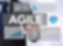 Agile Agility Nimble Quick Fast Concept.jpg