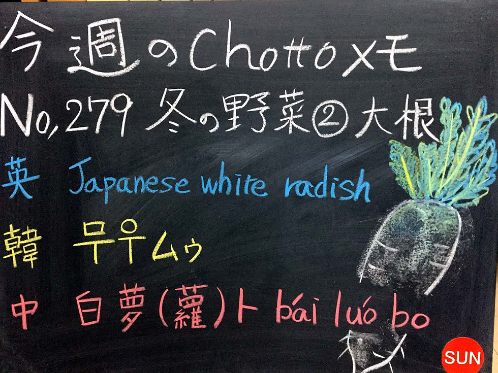 279大根