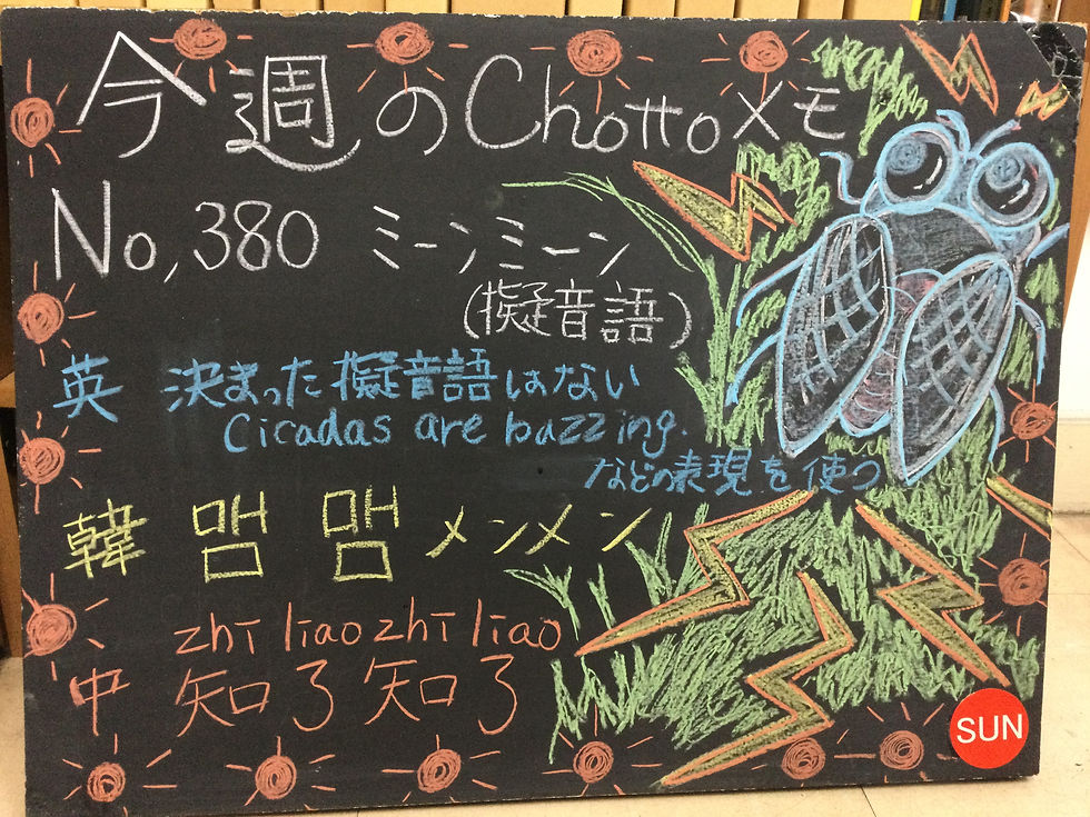 380セミの鳴き声