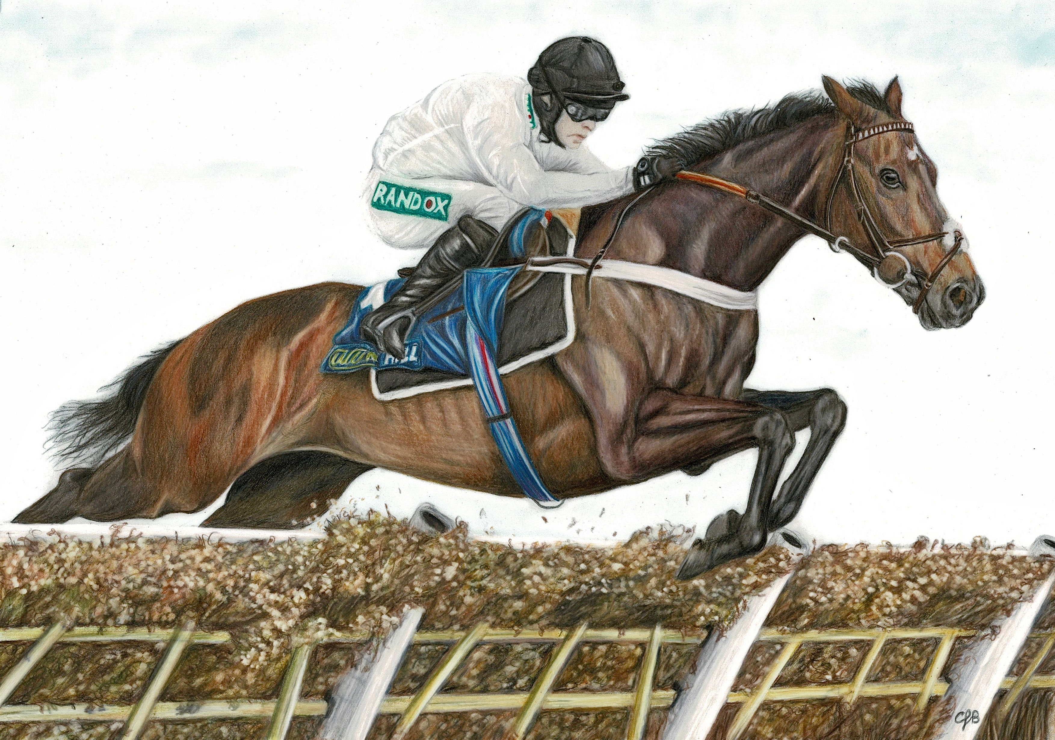 Constitution Hill Print