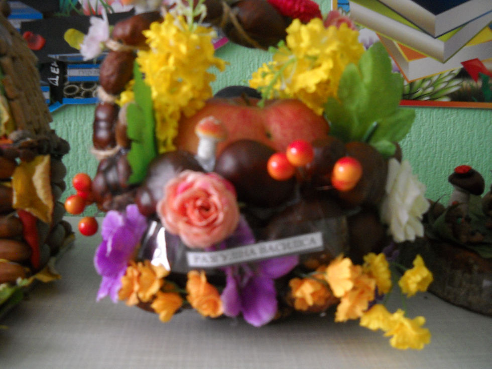 DSCN0669