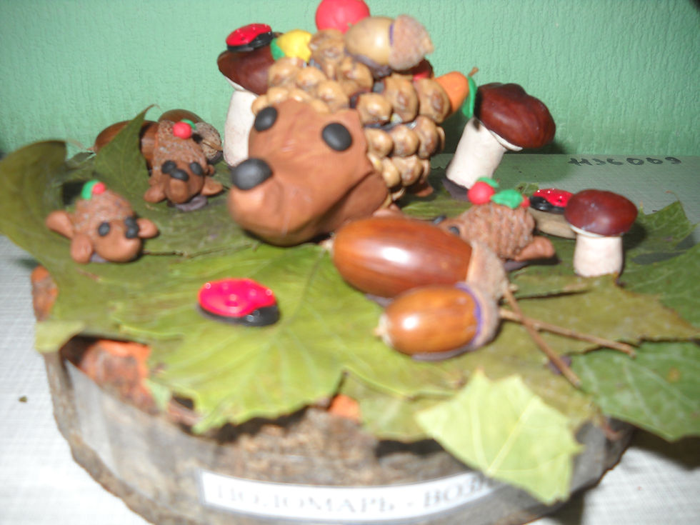 DSCN0678