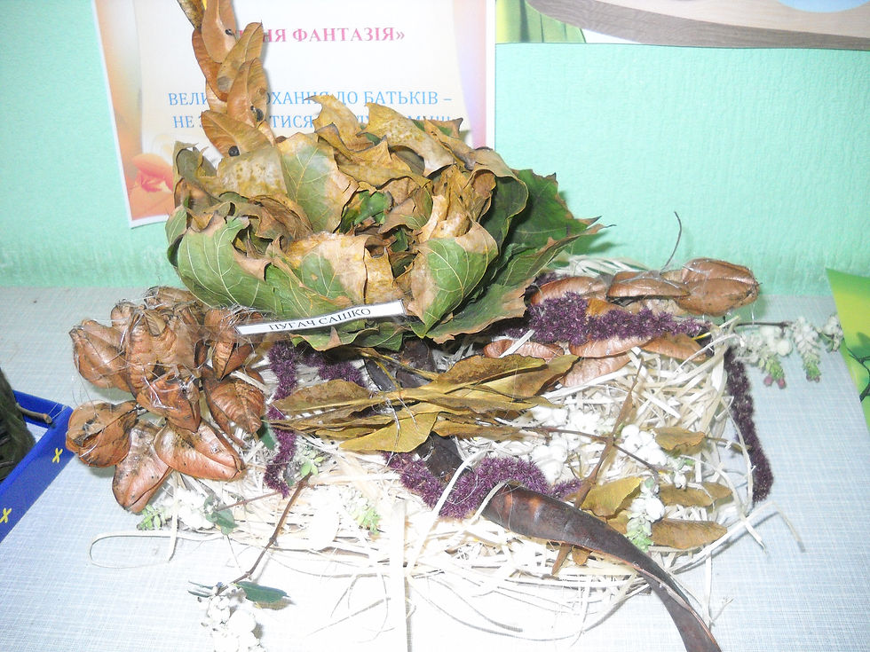 DSCN0676