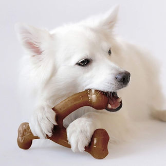 benebone.jpg