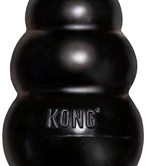 kong 2.jpg