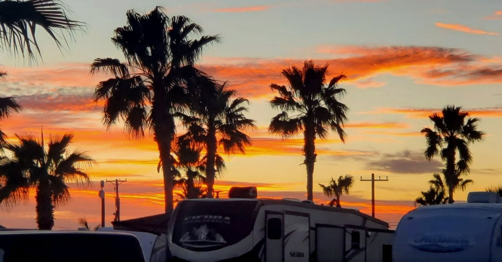 Ransom Road RV Park photo 2