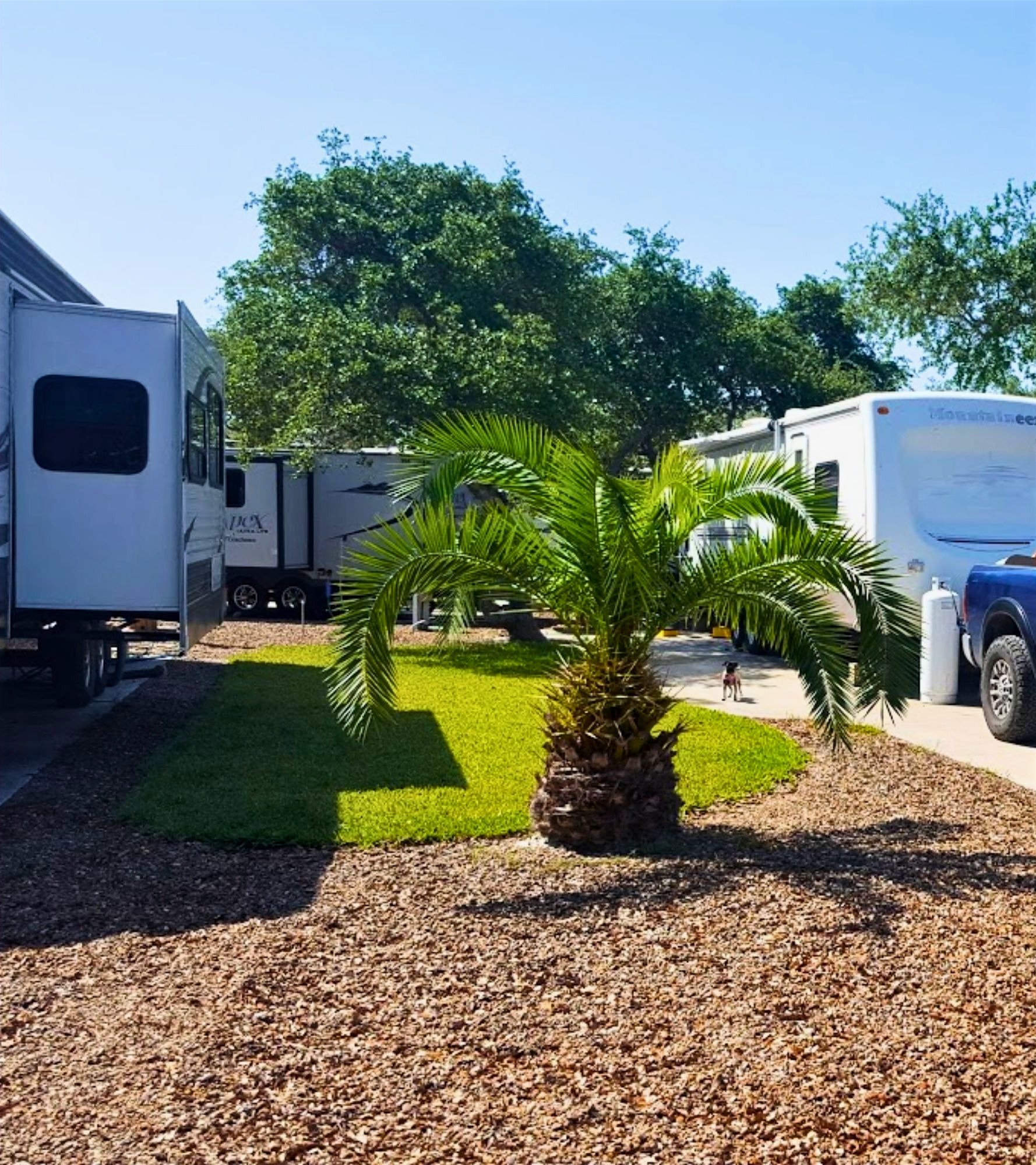 Aransas Bay RV Resort photo 3