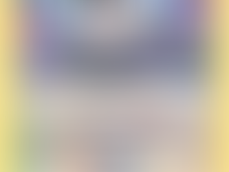 Neue Infos zur Evoli Premium Kollektion !