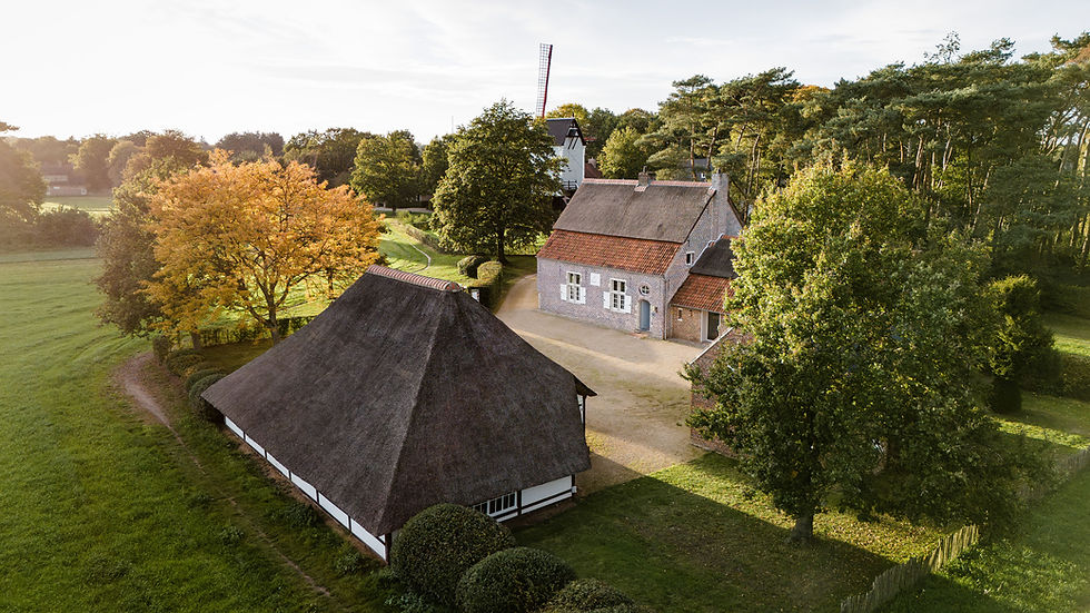 LOW_©LUCID_KempensLandschap_Beddermolen_05.jpg