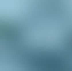 ESG, SME, Supply Chain Pressure, certification, carbon accounting, ISO14001