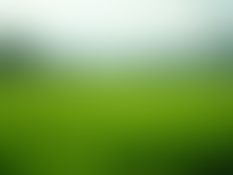 Agriculture durable : L'avenir d'Ituri et Kivu