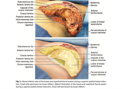 Screen Shot 2020-11-25 at 11.56.30 AM.pn