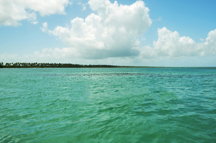 Saona Island