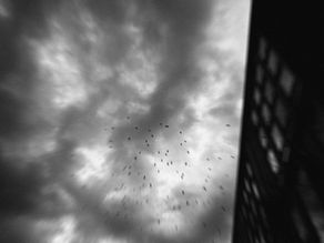 Should you follow the photography rules or not?