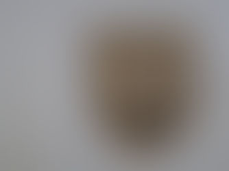 今年もよろしくお願いいたします。