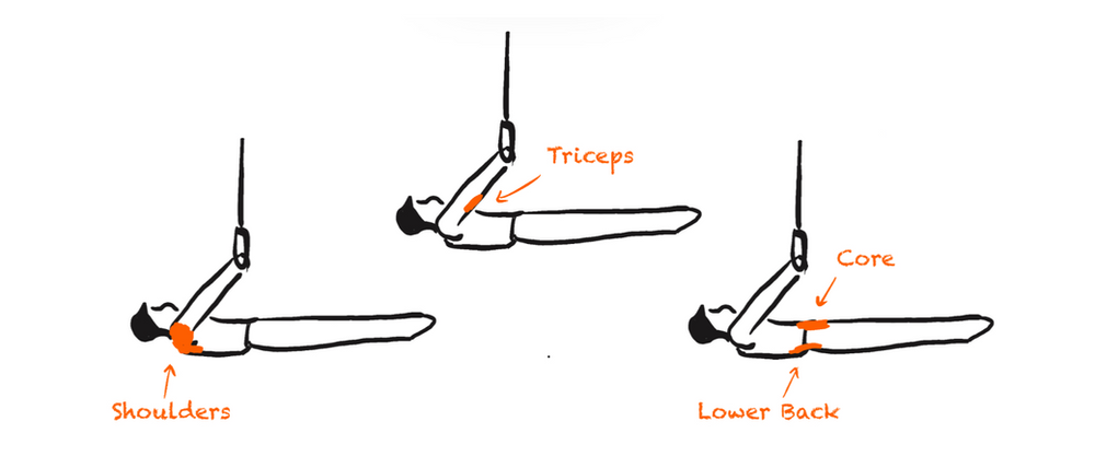 Calisthenics Front Lever Illustrated Calisthenics Front Lever Illustrated