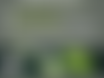 Koloběh síry a výživa mikroprvky v ekologickém zemědělství