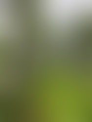 Time to Talk About Carbon Markets – proč se Climate Farmers rozhodli vystoupit z trhu s uhlíkovými kredity