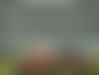 REGULACE VYTRVALÝCH PLEVELŮ V EKOLOGICKÉM ZEMĚDĚLSTVÍ