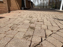 Interlocking Cleaning Toronto.jpeg