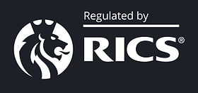 RICS 5.jpg