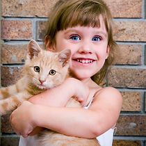 Kitty Love