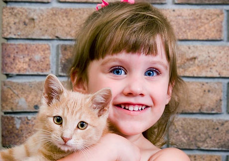Kitty Love