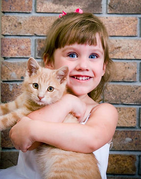 Kitty Love